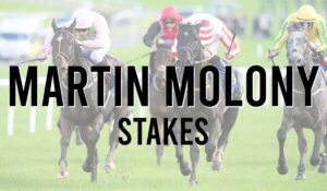 Irish Listed Horse Races 44 Martin Molony Stakes