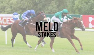 Irish Group 3 Horse Races 39 Meld Stakes