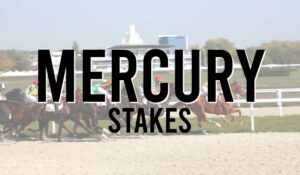 Irish Listed Horse Races 53 Mercury Stakes