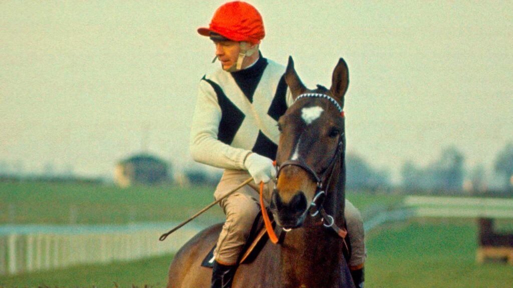 Hennessy Gold Cup Winners 3 Mill House
