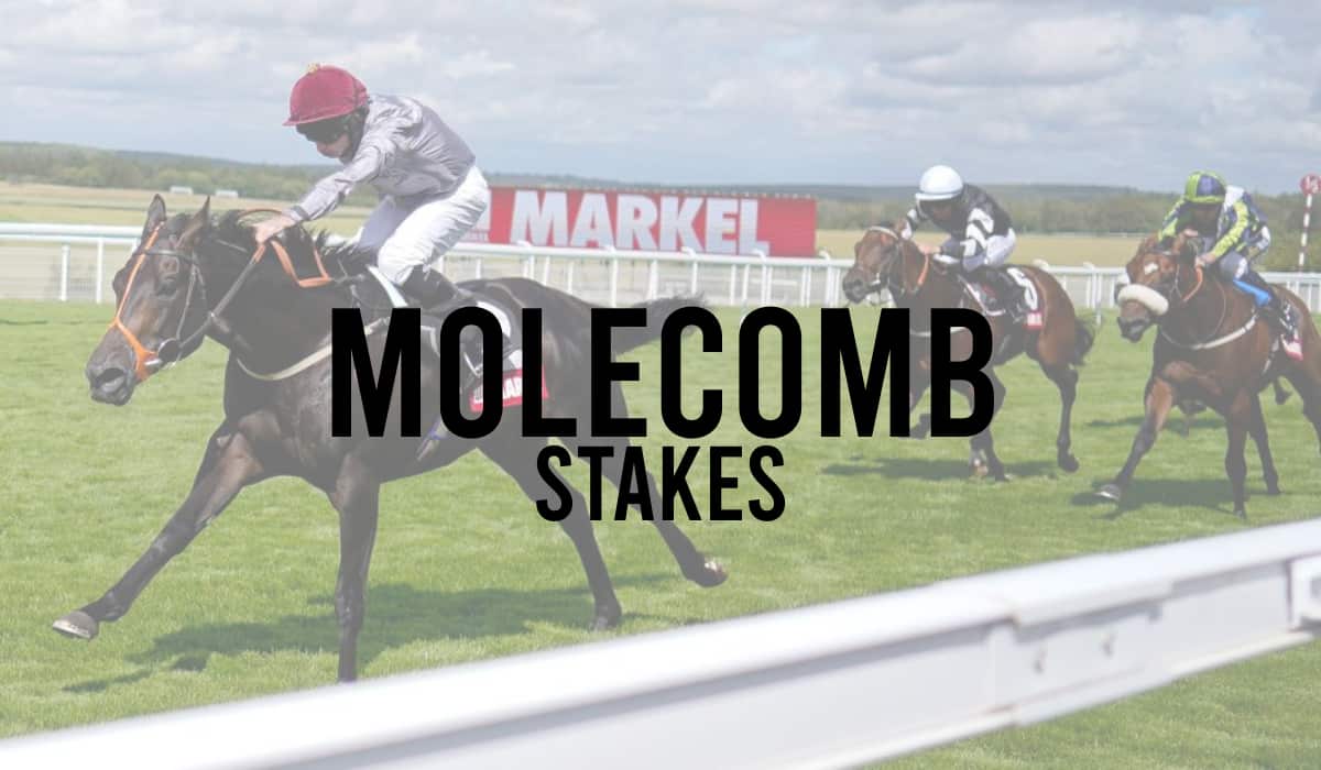 Molecomb Stakes