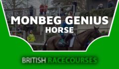 Monbeg Genius Horse