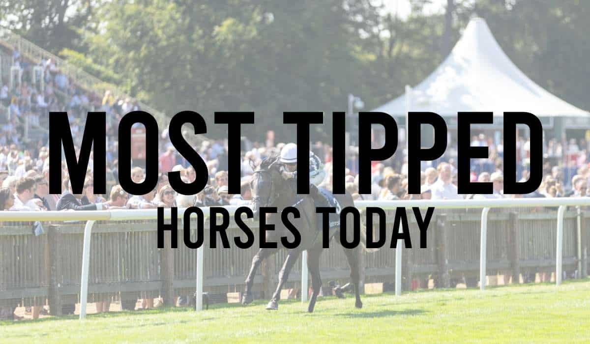 Most Tipped Horses Today