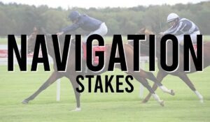 Irish Listed Horse Races 50 Navigation Stakes