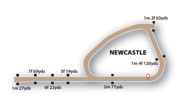 Newcastle All Weather Track