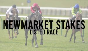 Listed Horse Races 36 Newmarket Stakes Listed Race