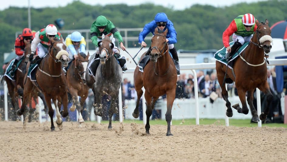 Northumberland Plate 19 Northumberland Plate