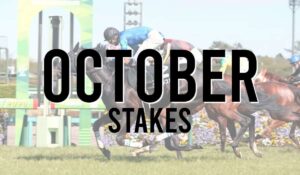 Listed Horse Races 116 October Stakes