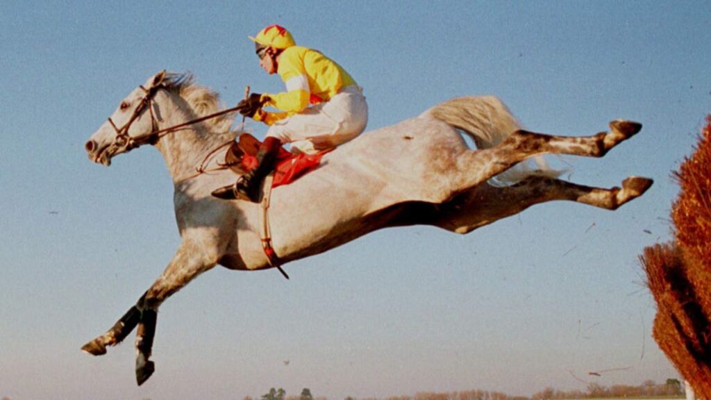 Hennessy Gold Cup Winners 8 One Man