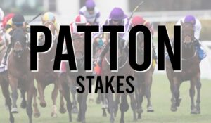 Irish Listed Horse Races 17 Patton Stakes