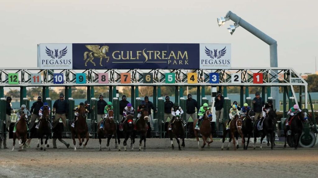 Pegasus World Cup 14 Pegasus World Cup
