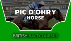 Pic D’Ohry Horse
