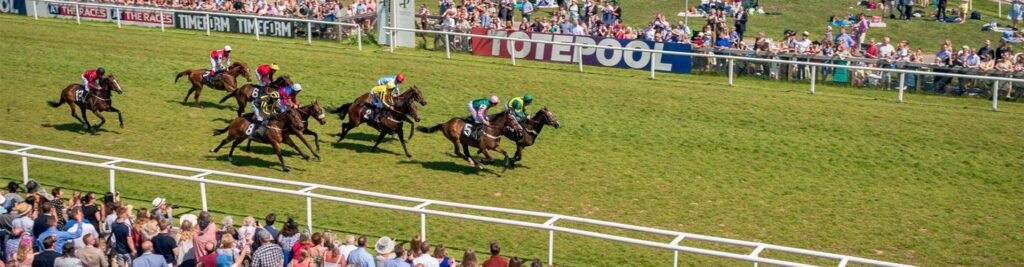 Plumpton Races