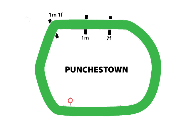 Punchestown Racecourse Flat