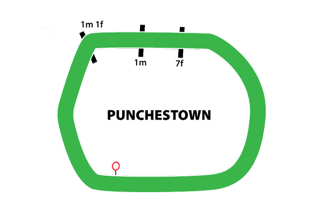 Punchestown Racecourse 30 Punchestown Racecourse Flat