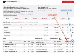 Racing Post Ratings Explained (RPR) Vs Official Rating (OR)