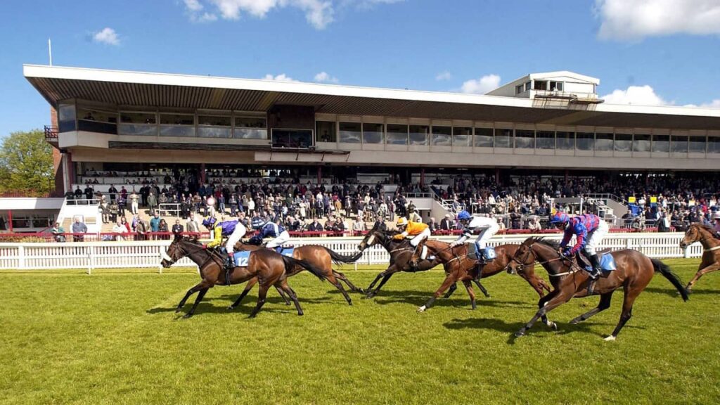 Redcar Racecourse Guide