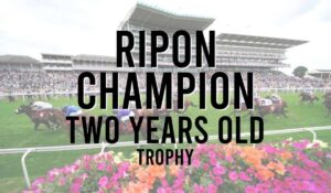 Ripon Champion Two Years Old Trophy