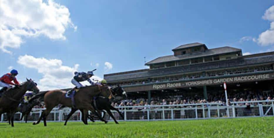 Ripon Racecourse Guide