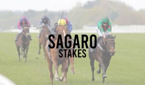 Group 3 Horse Races 22 Sagaro Stakes