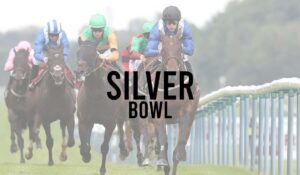 Silver Bowl