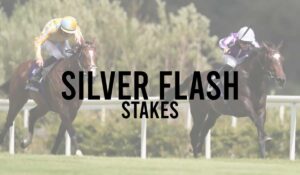 Silver Flash Stakes