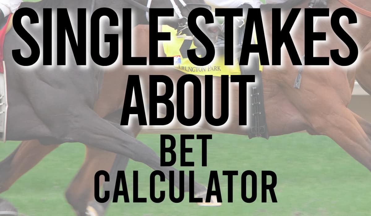 Single Stakes About Bet Calculator