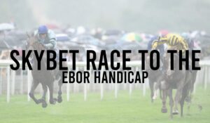 Irish Premier Handicap Horse Races 21 SkyBet Race To The Ebor Handicap