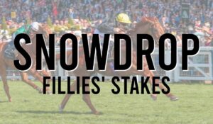 Listed Horse Races 27 Snowdrop Fillies Stakes