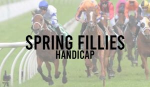 Irish Premier Handicap Horse Races 15 Spring Fillies Handicap