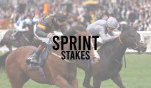 Group 3 Horse Races 29 Sprint Stakes