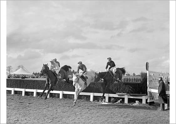 Hennessy Gold Cup Winners 5 Stalbridge Colonist