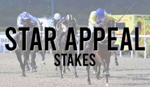Irish Listed Horse Races 45 Star Appeal Stakes