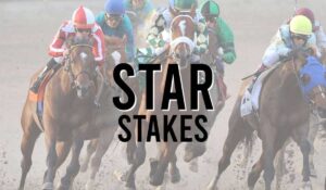 Listed Horse Races 82 Star Stakes