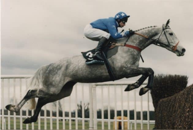 Hennessy Gold Cup Winners 9 Suny Bay