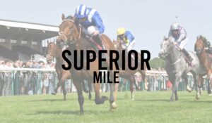Group 3 Horse Races 41 Superior Mile