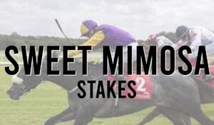 Irish Listed Horse Races 27 Sweet Mimosa Stakes
