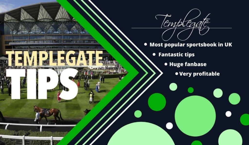 Best Sports Betting Tipsters 51 Templegate