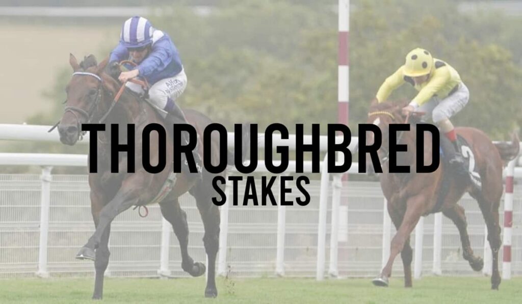 Thoroughbred Stakes