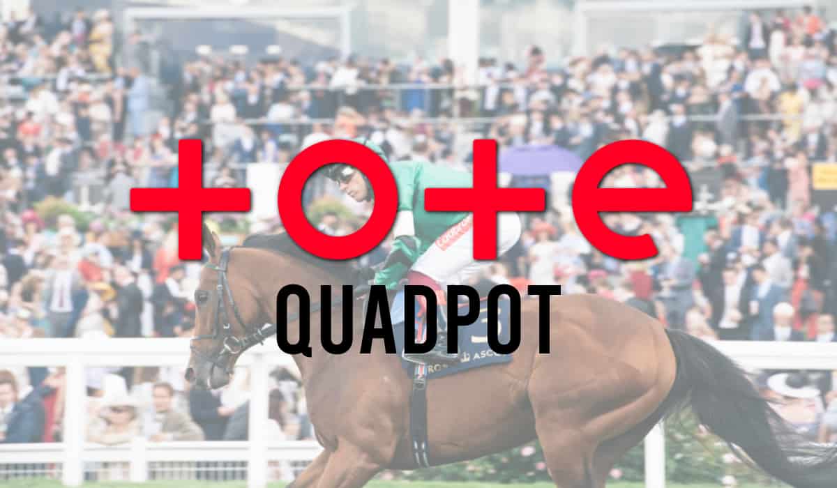 Tote Quadpot