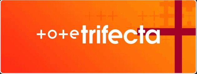 Tote Trifecta 37 Tote Trifecta Guide