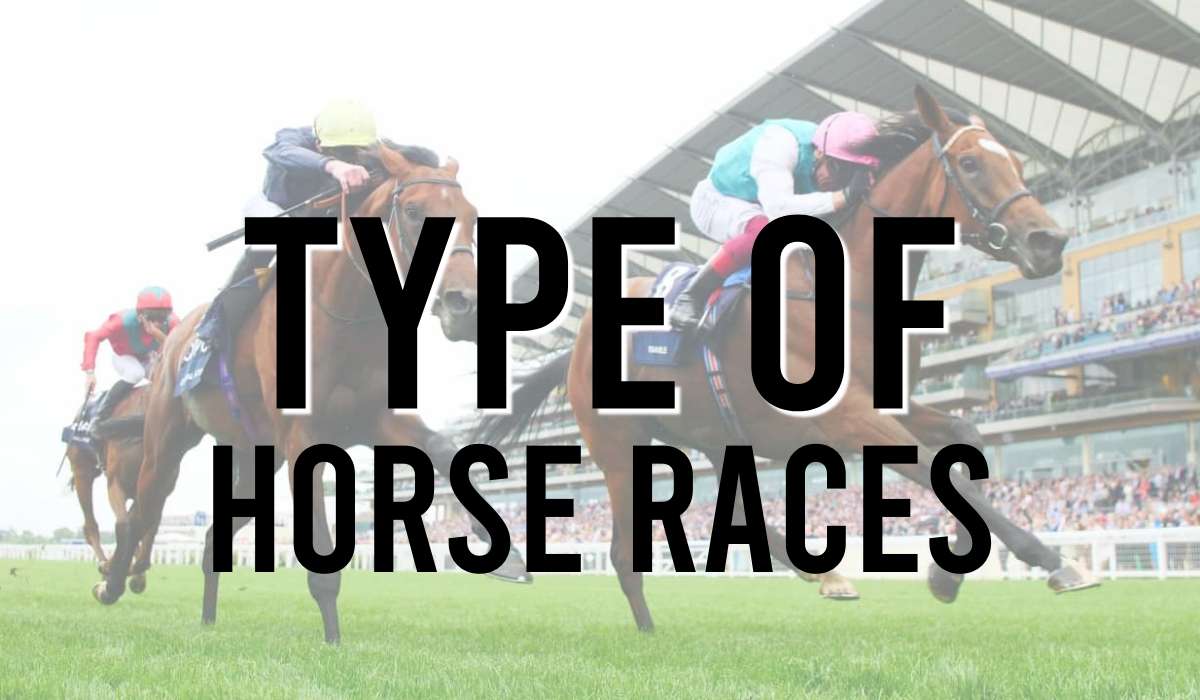 Type of Horse Races