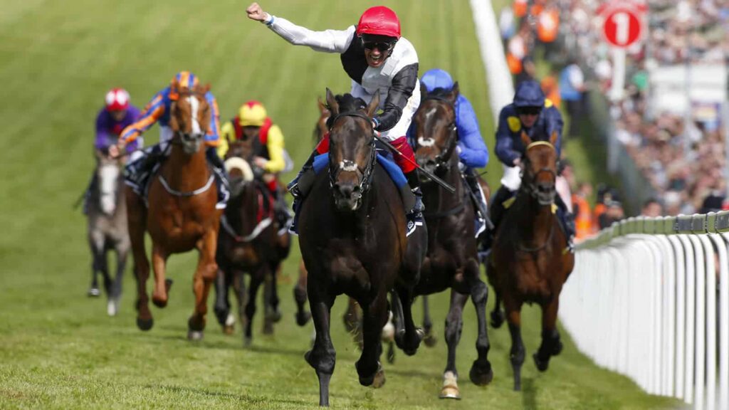 Types of Horses 11 Types of Racehorses