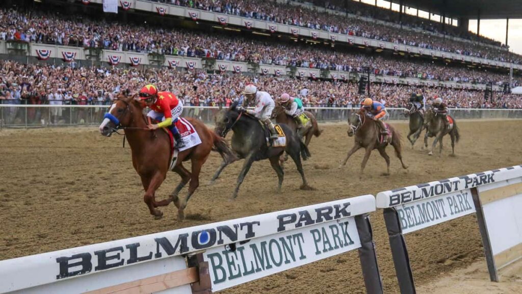 Type of Horse Races 2 Types of Races