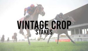 Vintage Crop Stakes