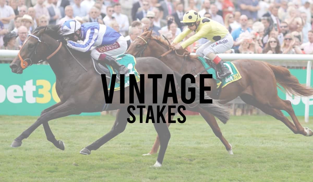 Vintage Stakes