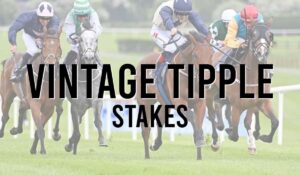 Irish Listed Horse Races 32 Vintage Tipple Stakes