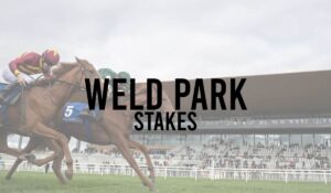 Irish Group 3 Horse Races 53 Weld Park Stakes