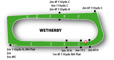 Wetherby Jumps Track