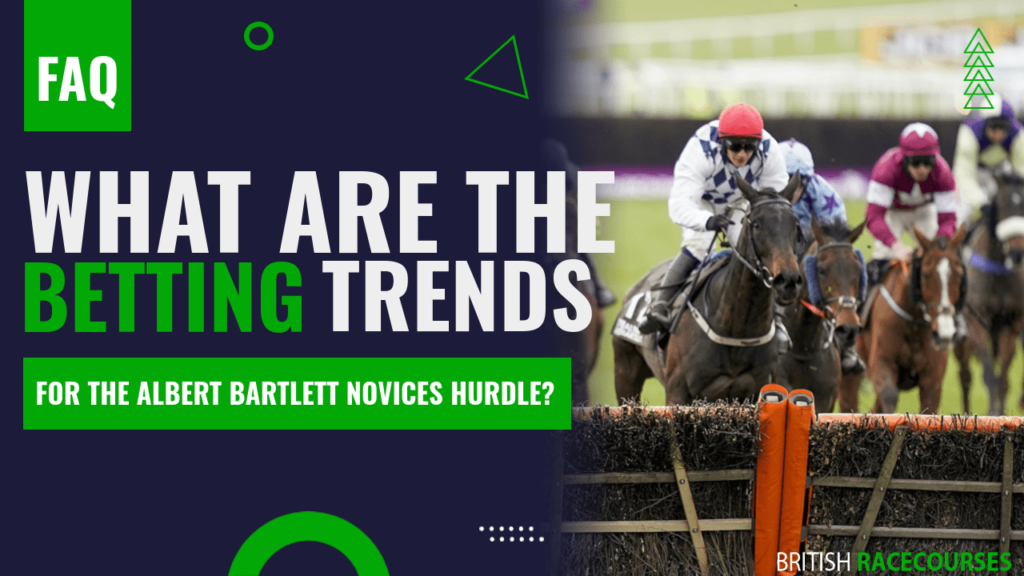 What are the betting trends for the Albert Bartlett Novices Hurdle